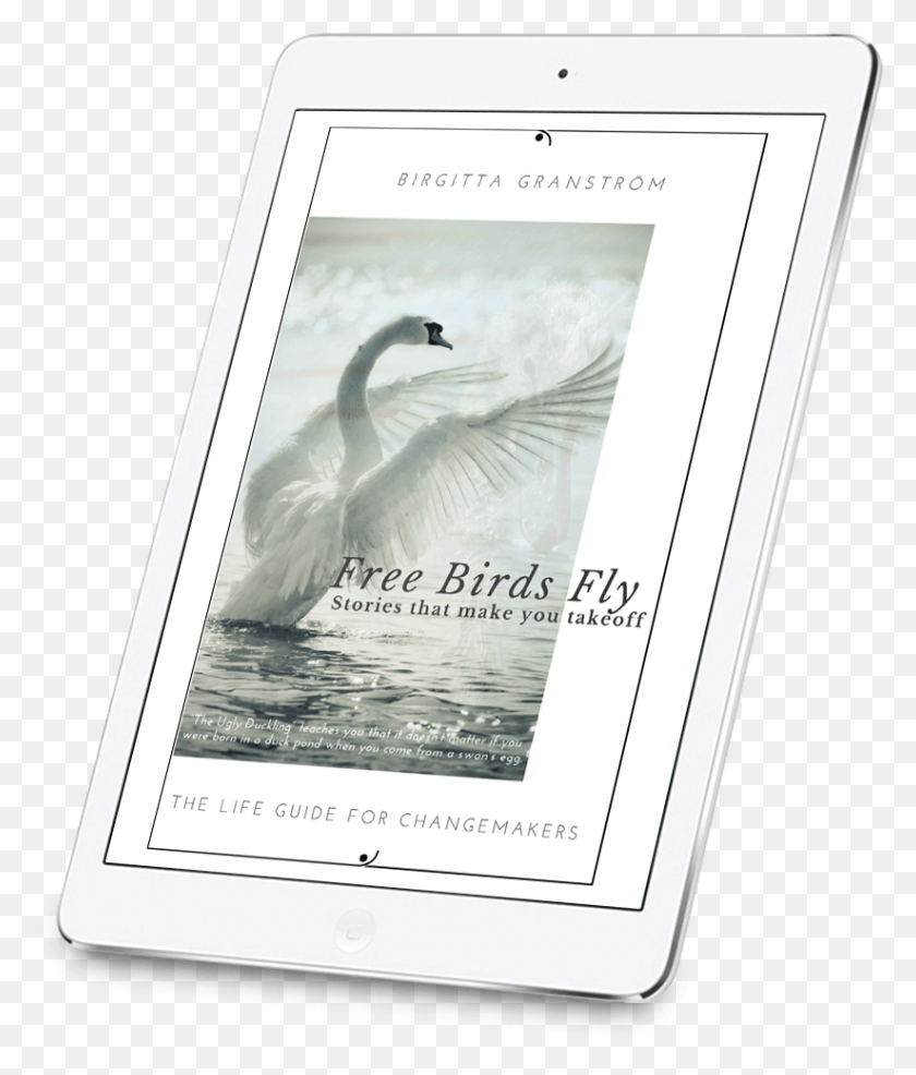 823x978 Free Birds Fly Trumpeter Swan, Bird, Animal, Text HD PNG Download
