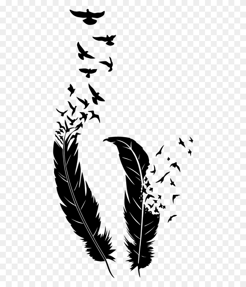 480x920 Free Birds Of A Feather Images Background Feather And Birds, Gray, World Of Warcraft HD PNG Download