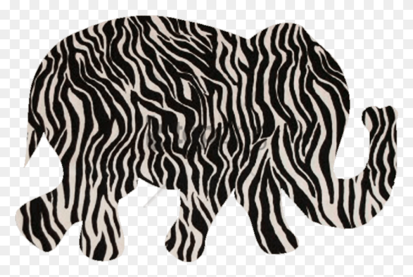 850x550 Free Black And White Pattern Image With Transparent Black And White Pattern, Zebra, Wildlife, Mammal HD PNG Download