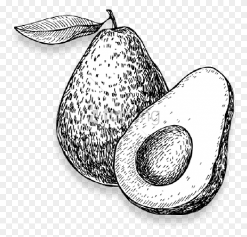850x813 Free Black And White Picture Of Avocado Image Avocado Black And White, Plant, Fruit, Food HD PNG Download
