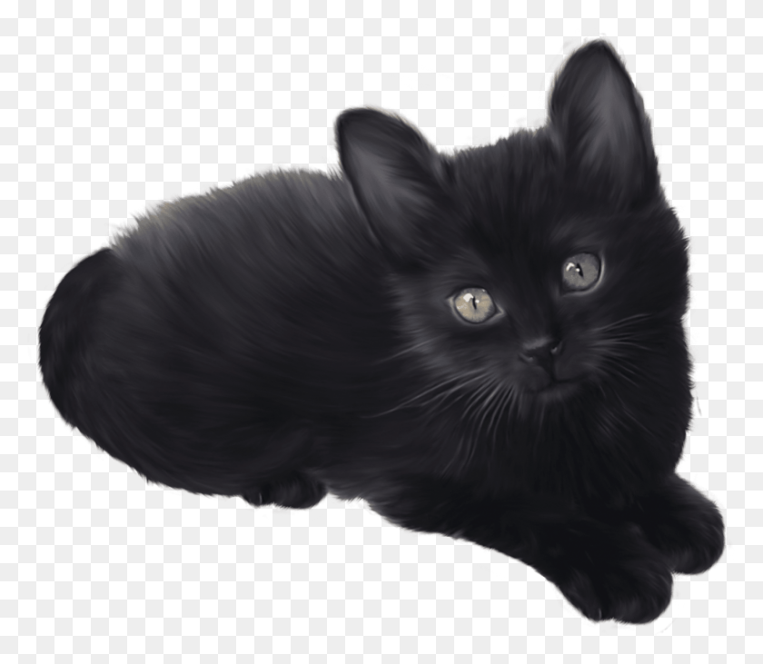 850x732 Free Black Kitten Images Transparent Black Kitten Clip Art, Black Cat, Cat, Pet HD PNG Download