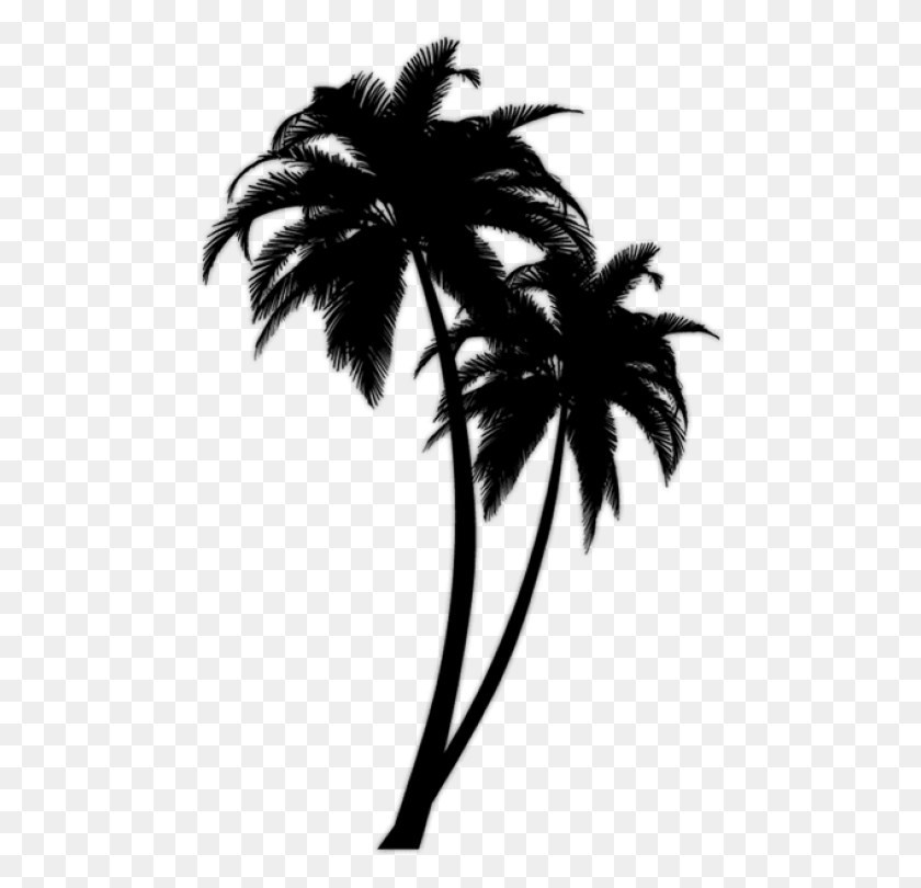 480x750 Free Black Palm Tree Images Background Black Palm Tree, Gray, World Of Warcraft HD PNG Download