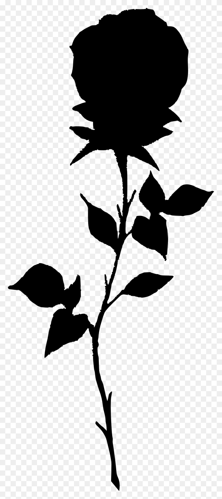 853x2000 Free Black Rose Transparent Background, Stencil, Leaf Descargar Hd Png