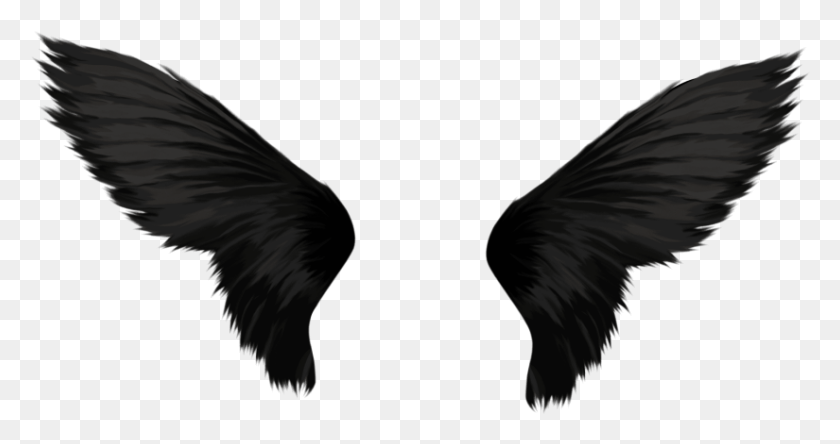 825x407 Free Black Wings Images Background Black Angel Wings Transparent, Bird, Animal HD PNG Download