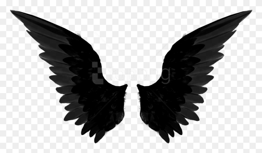 834x463 Free Black Wings Images Transparent Transparent Background Wings, Text, Logo, Symbol HD PNG Download