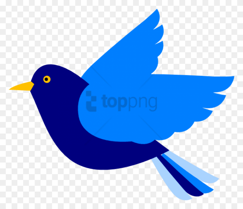 850x720 Free Blue Bird Image With Transparent Background Transparent Background Flying Bird Clipart, Jay, Bird, Animal HD PNG Download