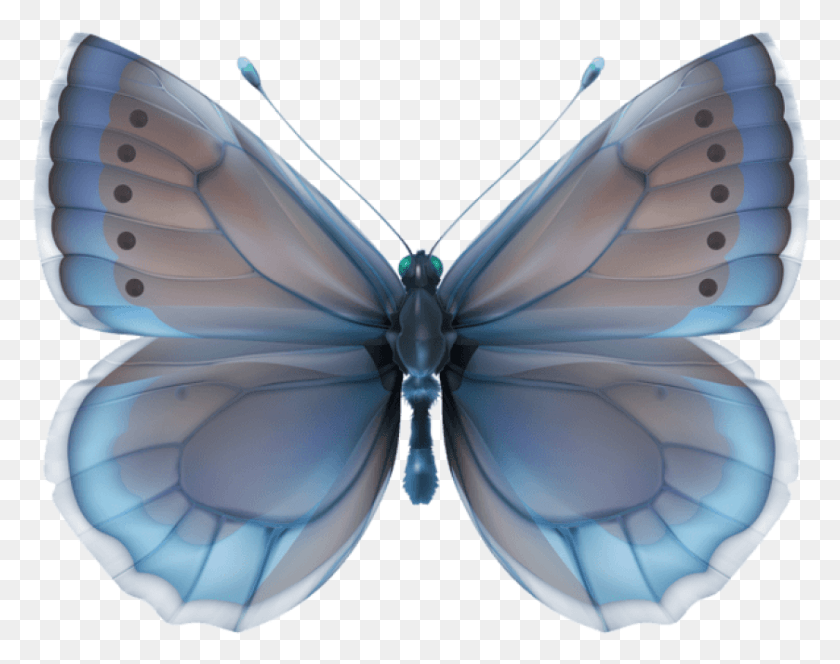 839x650 Free Blue Butterfly Clipart Photo Borboleta Azul Cinderela, Ornament, Pattern, Fractal HD PNG Download