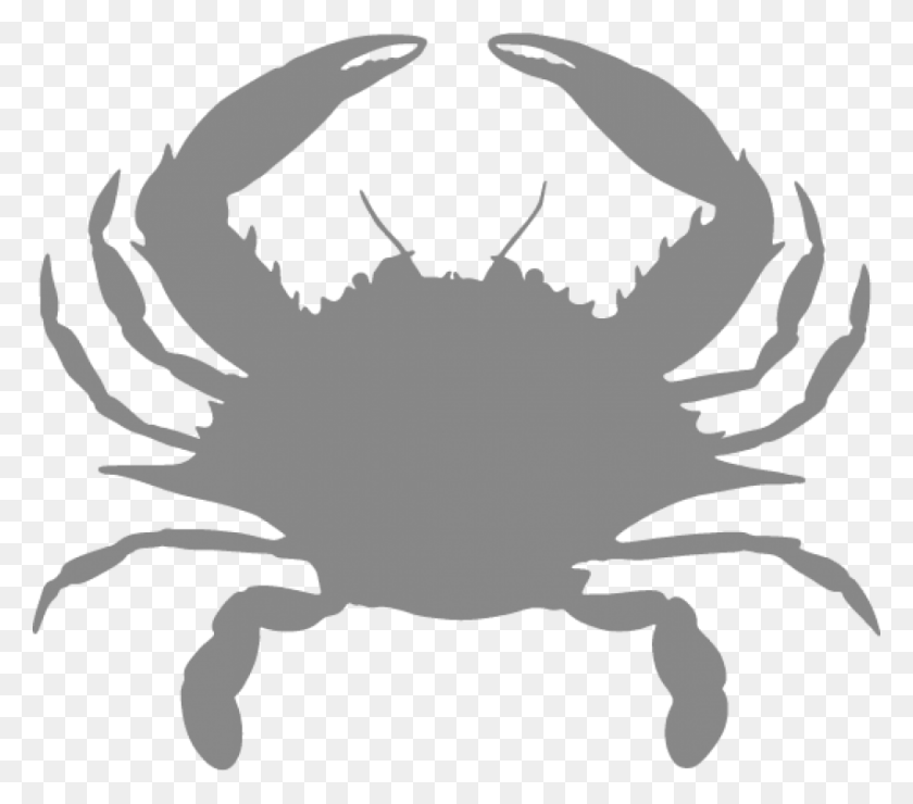 850x742 Free Blue Crab Eyes Images Background Crab Embroidery, Seafood, Sea Life, Food HD PNG Download
