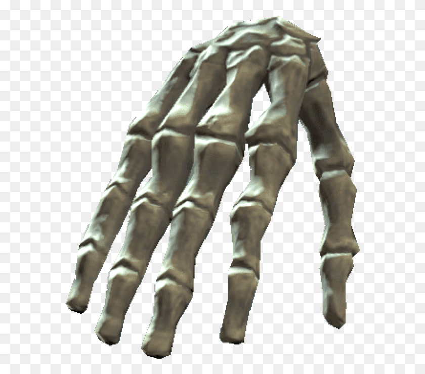 584x680 Free Bones Of The Right Hand Images Bones, Person, Human, Hook HD PNG Download