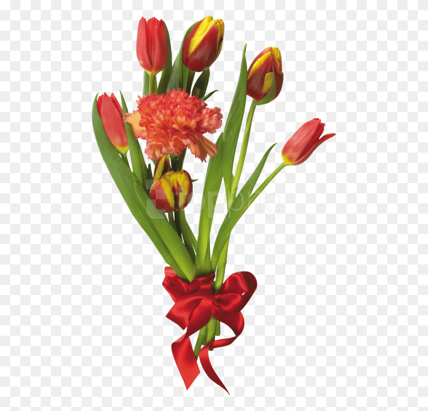480x748 Free Bouquet Of Flowers Images Background Flowers, Plant, Flower, Blossom HD PNG Download