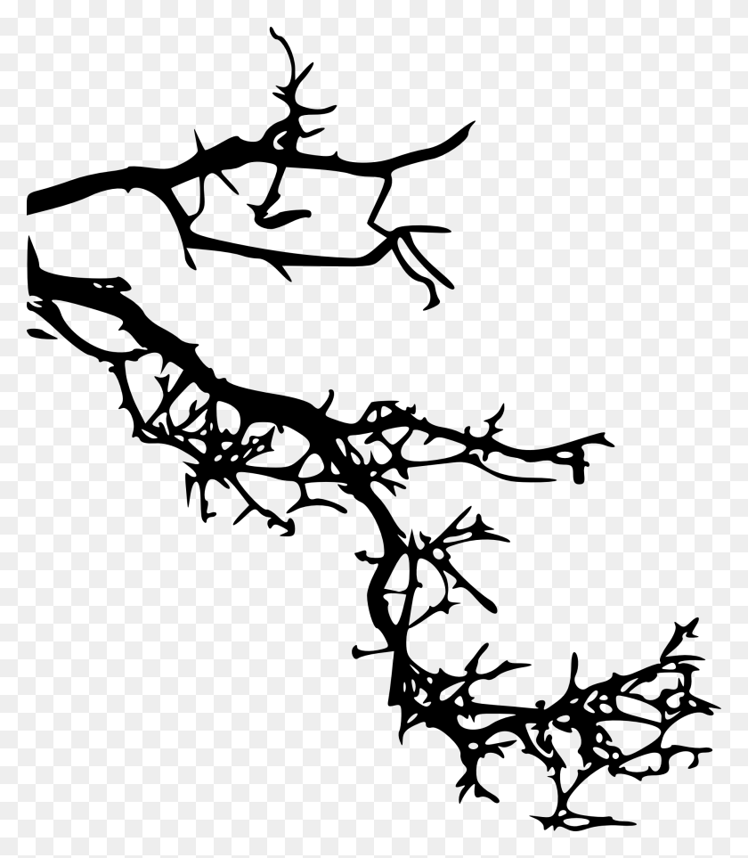 2000x2317 Free Branch Silhouette, Plant, Root HD PNG Download