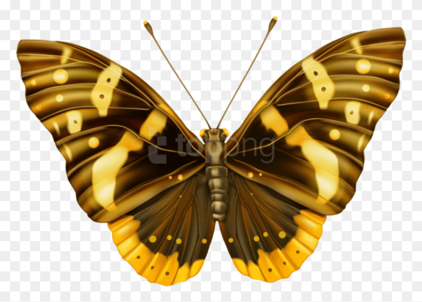 829x575 Free Brown And Yellow Butterfly Clipart Butterfly Clipart, Insect, Invertebrate, Animal HD PNG Download