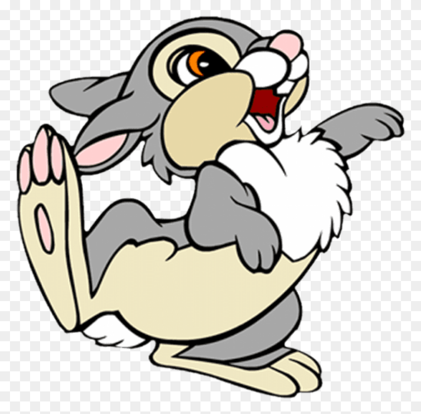 809x794 Free Bunny Cartoon Free Clipart Rabbit Cartoon Transparent Background, Animal, Bird, Fowl HD PNG Download