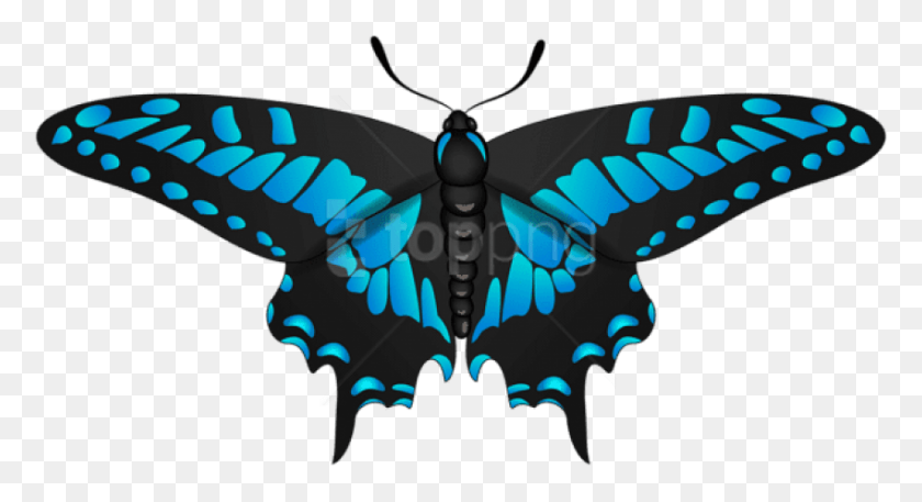 850x433 Png Бабочка Сине-Черные Изображения Прозрачная Переносимая Сетевая Графика, Насекомое, Беспозвоночные, Животное Hd Png