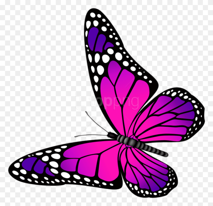 837x810 Descargar Png Mariposa Rosa Y Púrpura Transparente Mariposa Rosa Y Púrpura, Gráficos, Animal Hd Png