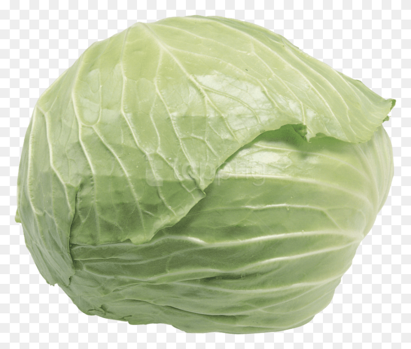 850x712 Free Cabbage Images Transparent, Plant, Vegetable, Food HD PNG Download