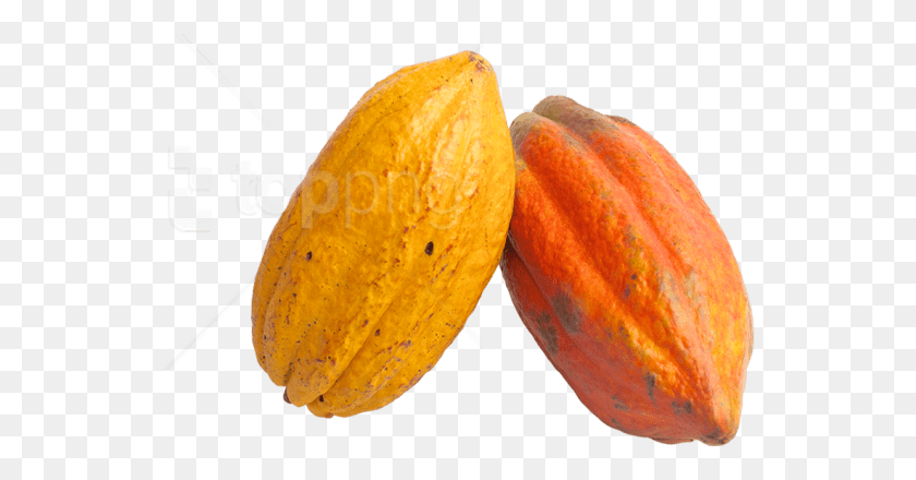 544x380 Free Cacao Images Transparent Cocoa Fruit, Plant, Food, Bread HD PNG Download