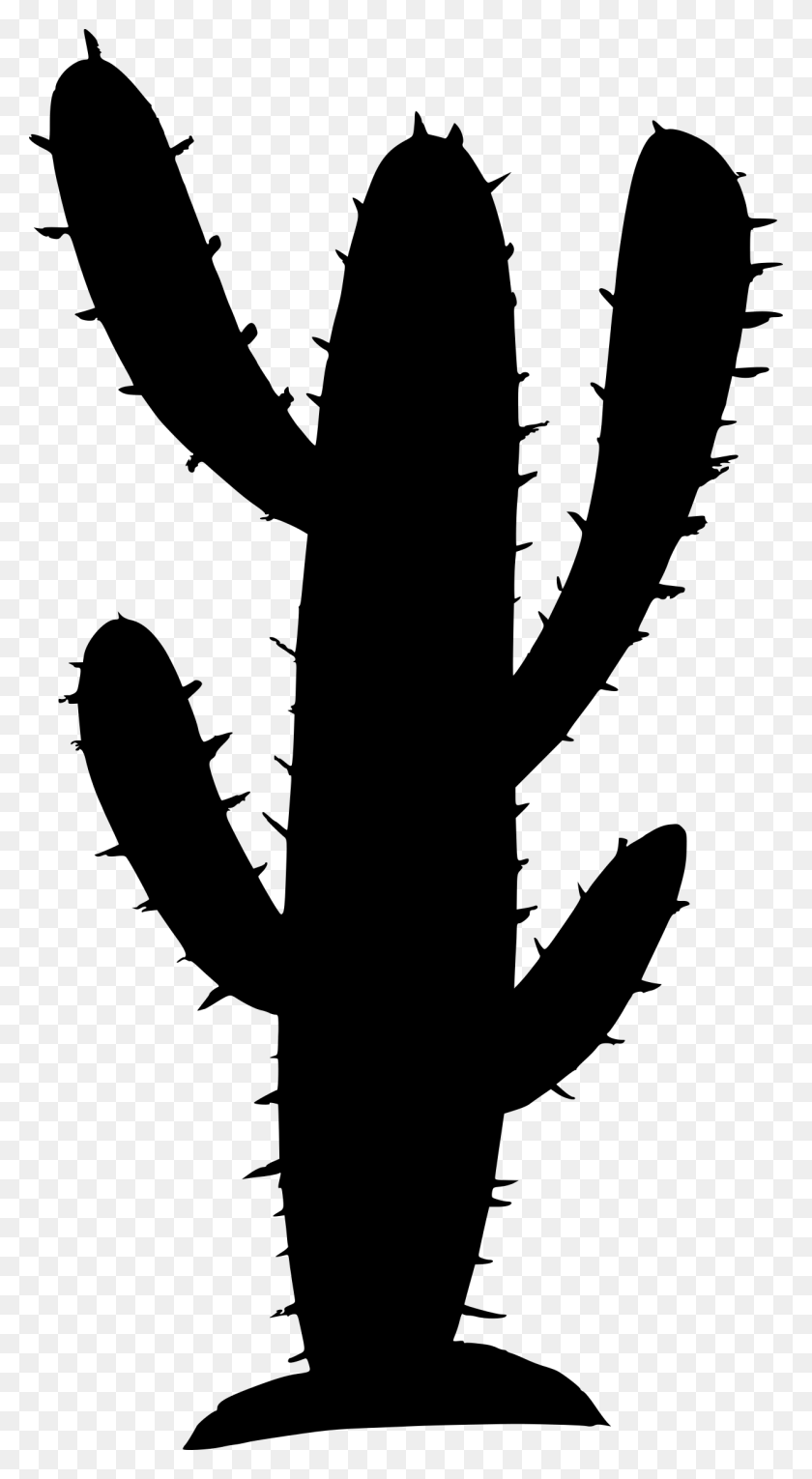 1253x2363 Free Cactus, Gray, World Of Warcraft HD PNG Download
