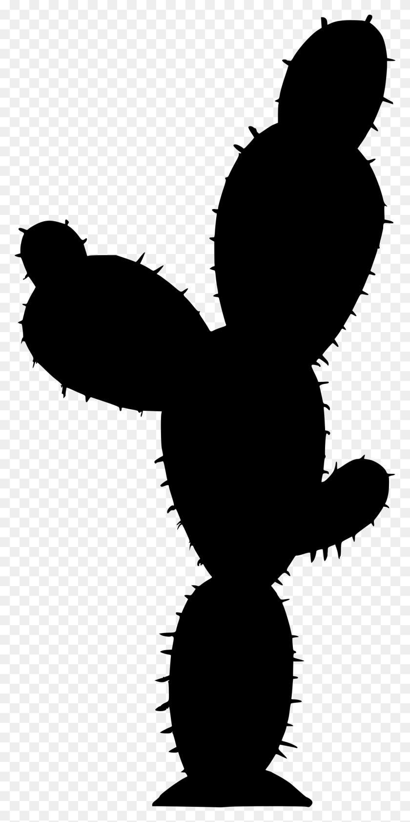 1311x2728 Free Cactus Silhouette, Gray, World Of Warcraft HD PNG Download