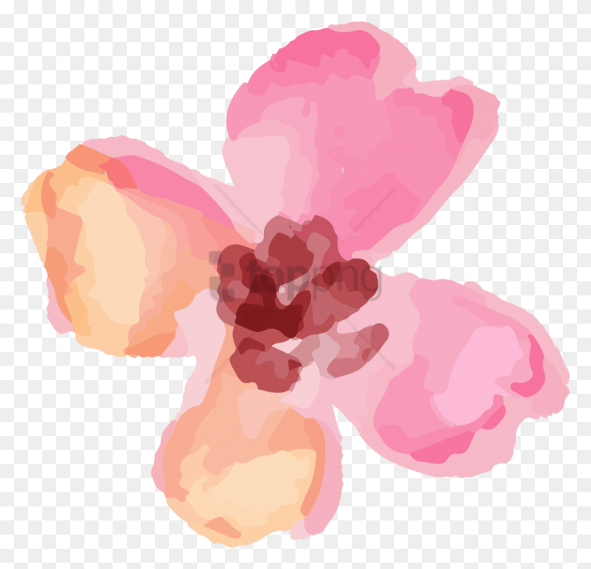 850x817 Free Cafepress Gilmore Girls Flower Transparent Watercolour Pink, Plant, Petal, Blossom HD PNG Download
