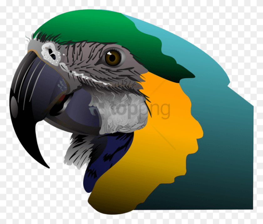850x715 Descargar Png Cafepress Parrot Funda Samsung Galaxy S7 Uccelli Esotici, Pájaro, Animal Hd Png