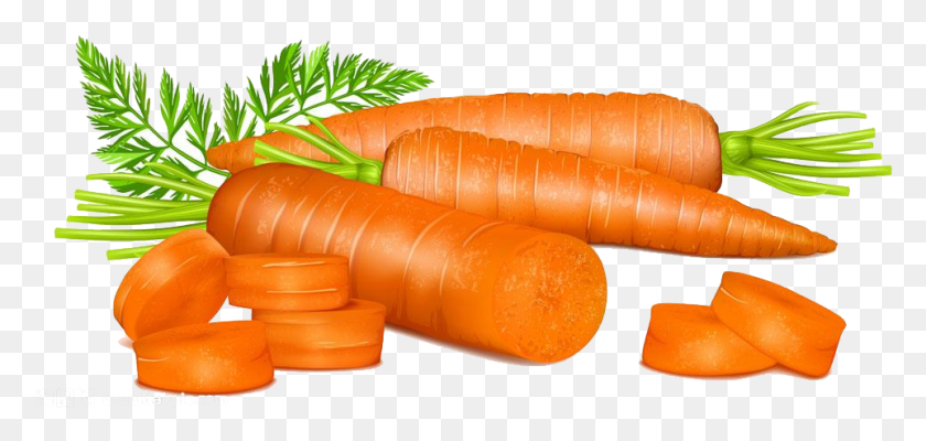 962x420 Free Carrot Clipart Drawing Carrot, Plant, Vegetable, Food HD PNG Download