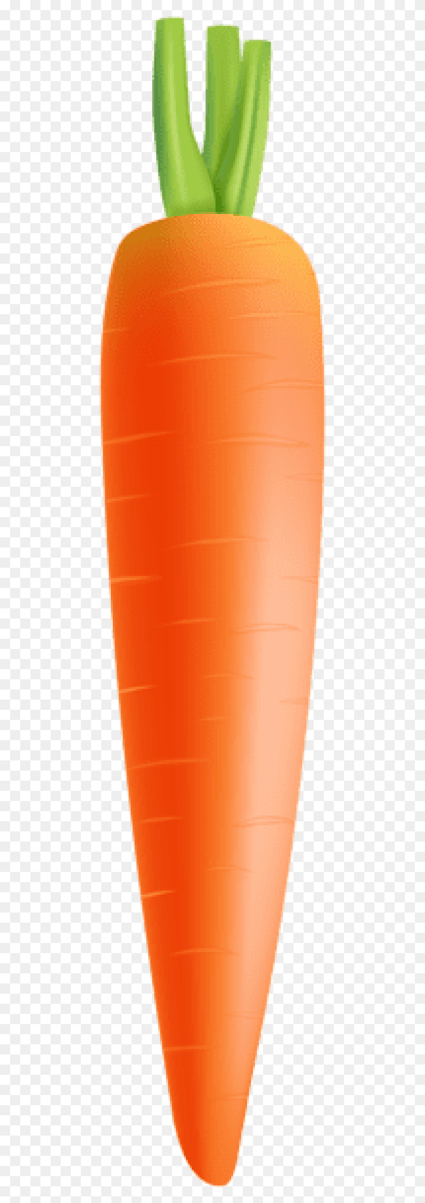451x2313 Free Carrot Images Transparent Plastic, Cylinder, Bottle, Can HD PNG Download