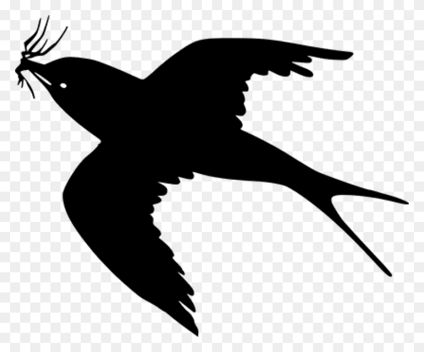 851x697 Free Cartoon Black Bird Flying Imágenes Pájaro Clipart Volando, Grey, World Of Warcraft Hd Png Descargar