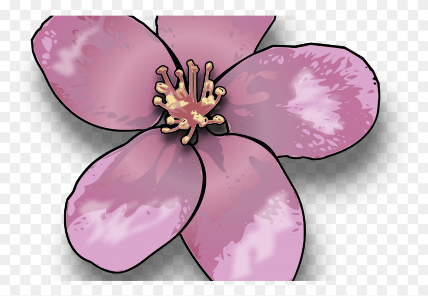 1281x856 Free Cartoon Cherry Blossom Tree Free Clip Apple Blossom Clip Art, Plant, Petal, Flower HD PNG Download