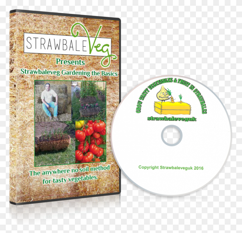 827x795 Free Cd Dvd Disc Cover Mock Up Psd Herbal, Person, Human, Disk HD PNG Download