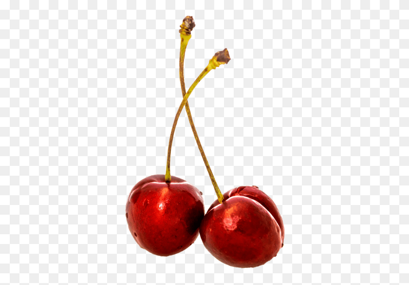 330x524 Free Cherry Images Background Cherry Free, Plant, Fruit, Food HD PNG Download