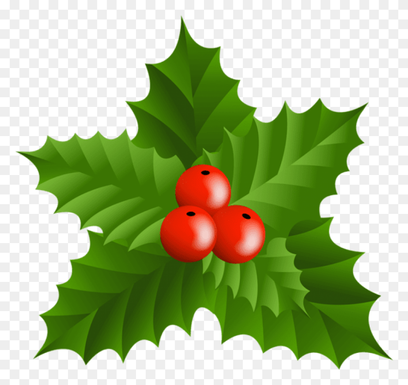 844x793 Free Christmas Holly Muérdago Clip Art Clip Art, Hoja, Planta, Árbol Hd Png Descargar