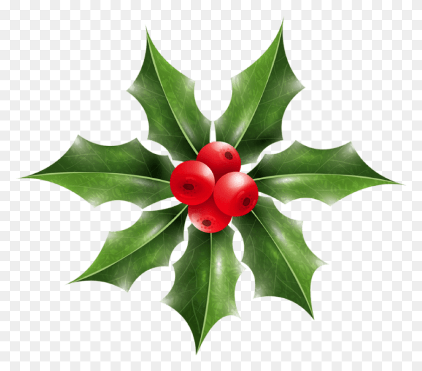 839x731 Free Christmas Holly Mistletoe Portable Network Graphics, Leaf, Plant, Tree HD PNG Download