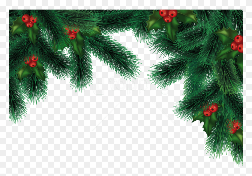 814x552 Free Christmas Images Background Christmas Background Vector, Tree, Plant, Leaf HD PNG Download