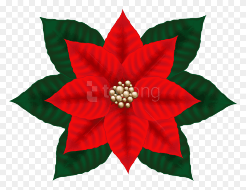 837x634 Free Christmas Poinsettia, Leaf, Plant, Ornament HD PNG Download