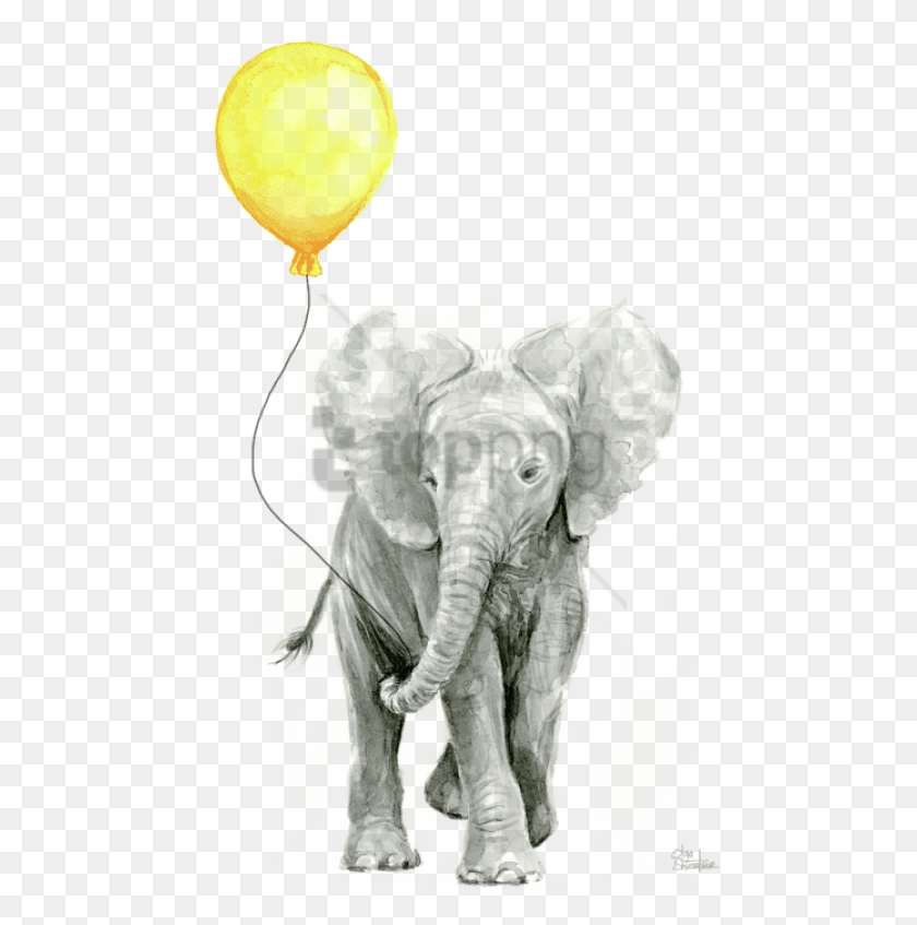 480x787 Free Click And Drag To Re Images Background Elephant With A Balloon, Wildlife, Animal, Ball HD PNG Download