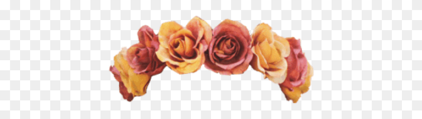 411x177 Free Clip Are Flower Crown Images Orange Flower Crown Transparent, Rose, Plant, Blossom HD PNG Download
