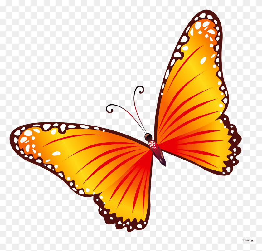 1661x1586 Free Clip Art Butterflies Coloring Butterfly Border Red And Yellow Butterflies, Insect, Invertebrate, Animal HD PNG Download