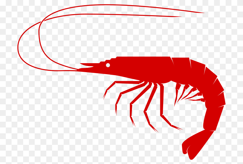 800x566 Free Clipart, Food, Seafood, Animal, Invertebrate Sticker PNG