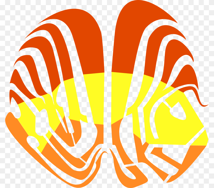 Free Animal, Bee, Insect, Invertebrate Clipart PNG