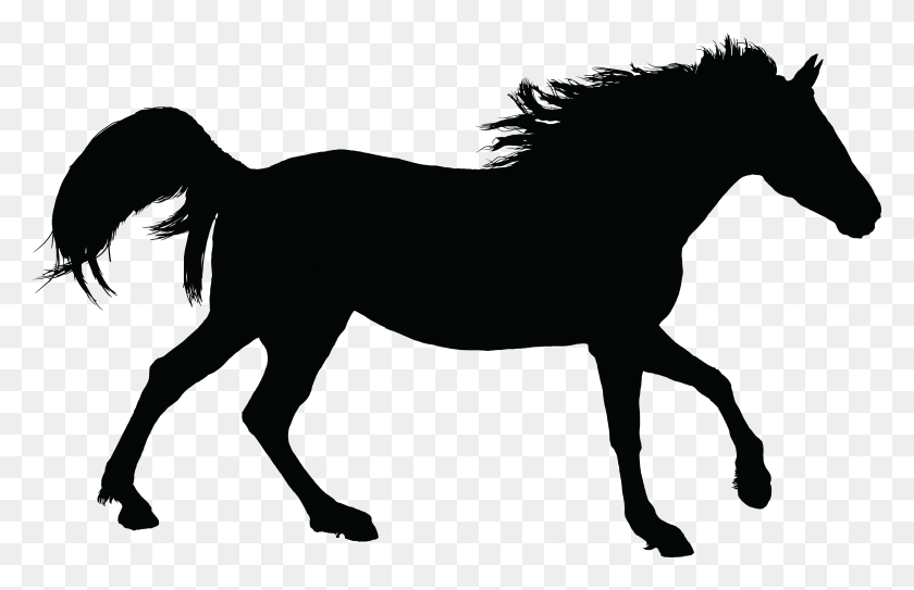 4000x2477 Free Clipart Of A Black Silhouette Of A Horse Horse Silhouette Transparent, Mammal, Animal HD PNG Download