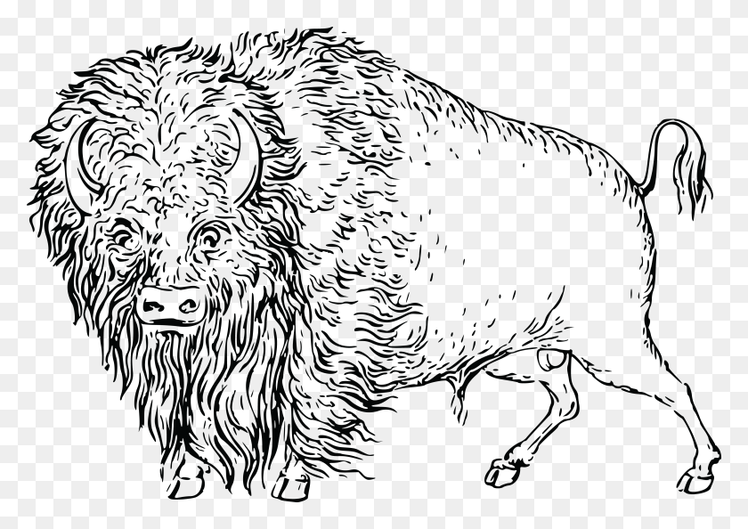 4000x2741 Free Clipart Of A Buffalo Line Art, Dog, Pet, Canine HD PNG Download