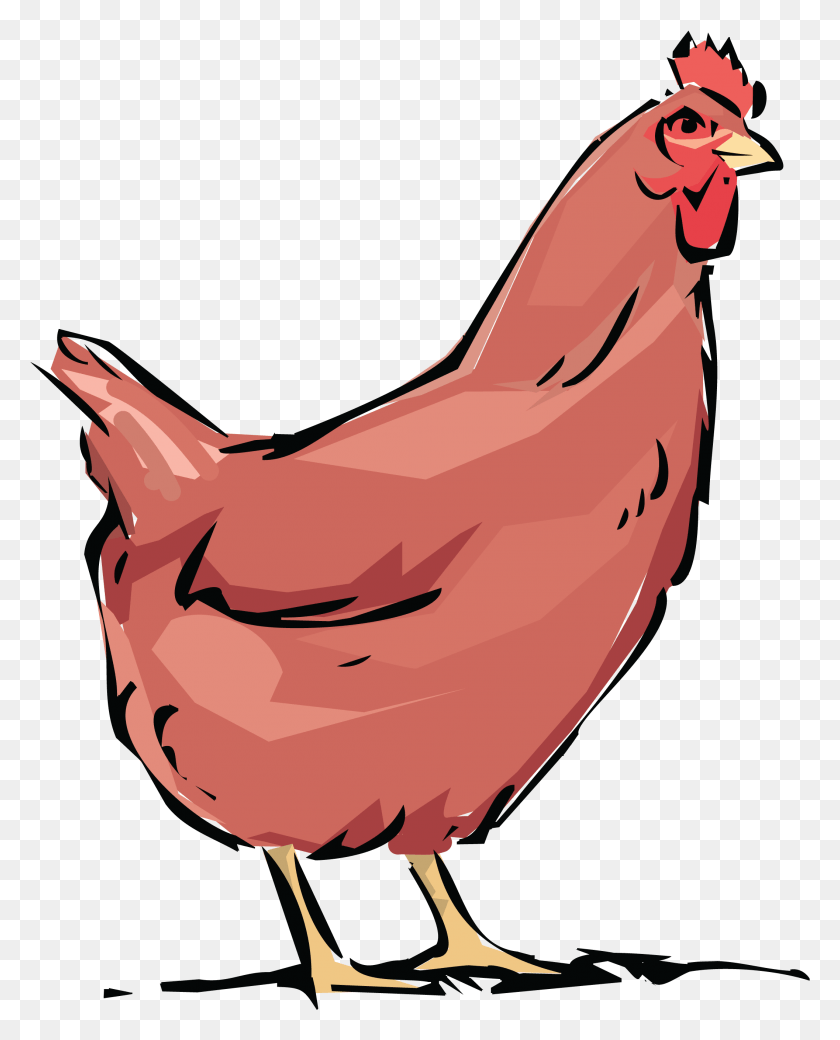 2114x2658 Free Clipart Of A Chicken Hen Cock Hen Clipart, Bird, Animal, Poultry HD PNG Download