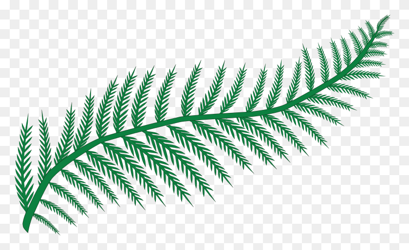 4000x2331 Free Clipart Of A Fern Transparent Background Fern Clipart, Plant, Leaf, Pattern HD PNG Download