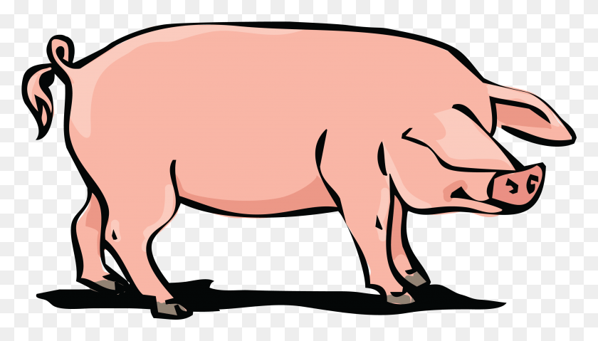 3482x1871 Clipart De Un Cerdo, Mamífero, Animal, Jabalí Hd Png