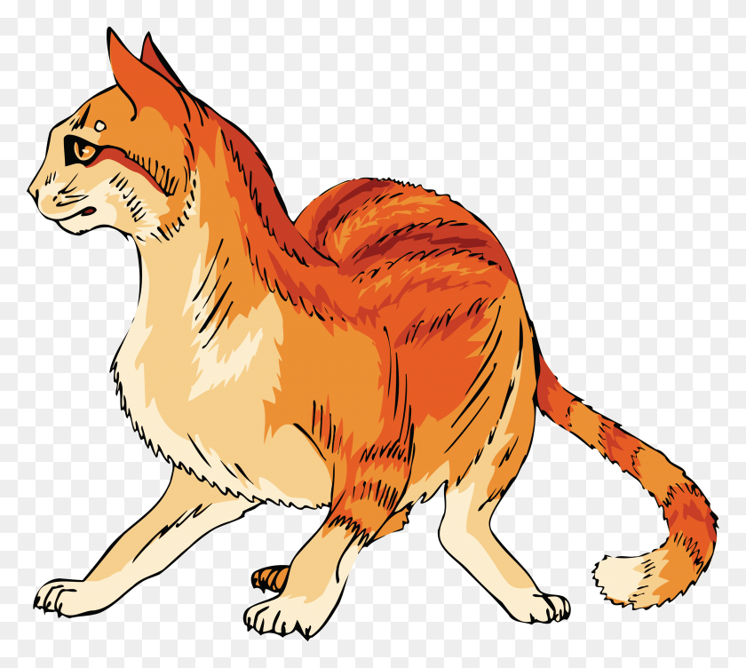 4000x3552 Free Clipart Of A Scared Orange Cat Cat Clipart Orange Cat, Mammal, Animal, Canine HD PNG Download