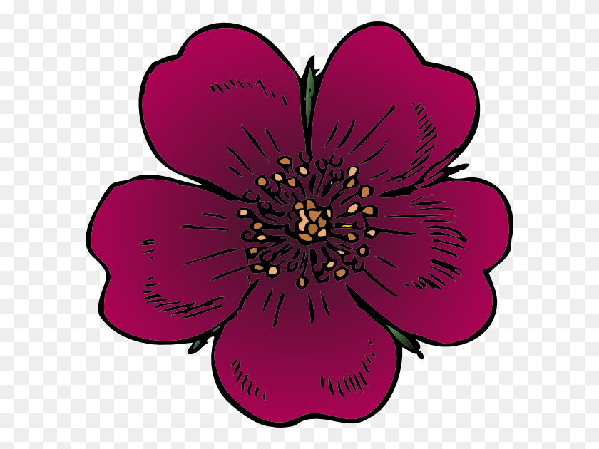 600x570 Png Розовые Цветы, Пыльник, Цветок, Растение Hd Png Скачать