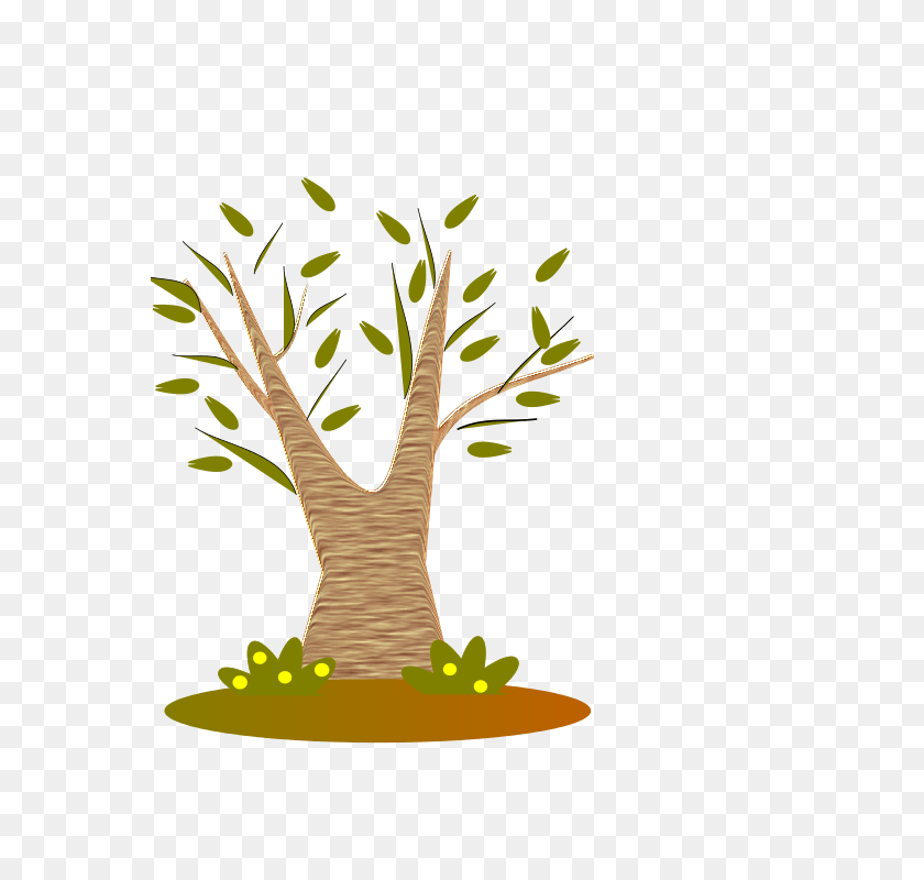 566x800 Free Clipart Tree Spevi, Plant, Herbal, Herbs, Leaf PNG