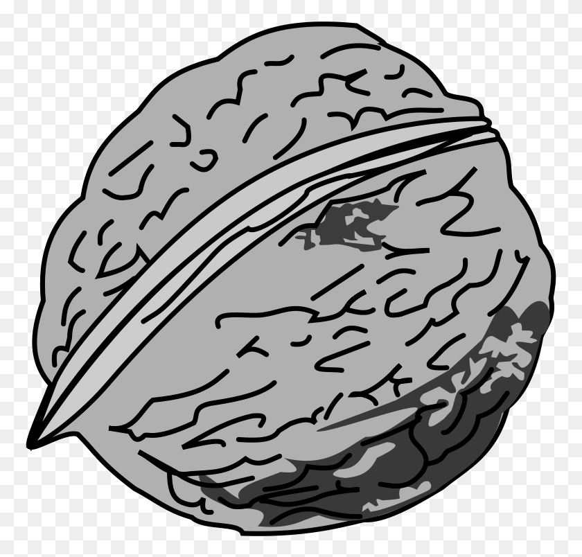 767x744 Free Clipart Walnut Black And White Picture Of Walnut, Plant, Vegetable, Food HD PNG Download