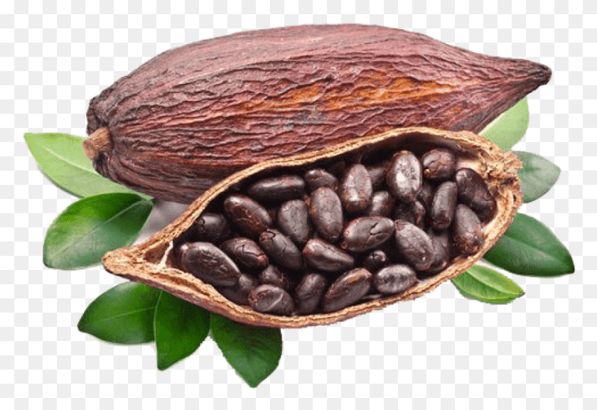 850x564 Free Cocoa Beans Grown Around The World Image Propiedades Del Cacao Puro, Plant, Vegetable, Food HD PNG Download